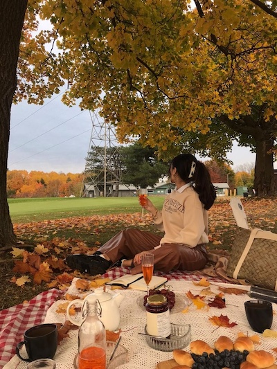 Cozy fall picnic under colorful autumn trees with warm drinks and seasonal snacks for a relaxing self-care day.