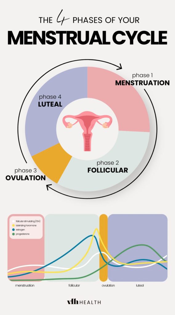 Four phases of the menstrual cycle - menstruation, follicular, ovulation, and luteal with hormone levels.