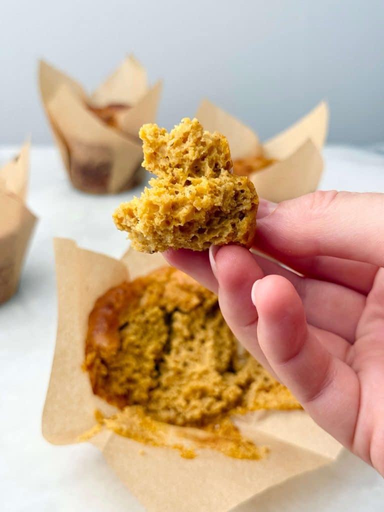 Hand holding a piece of moist, fluffy high protein pumpkin muffin with tulip liners and muffins in the background.