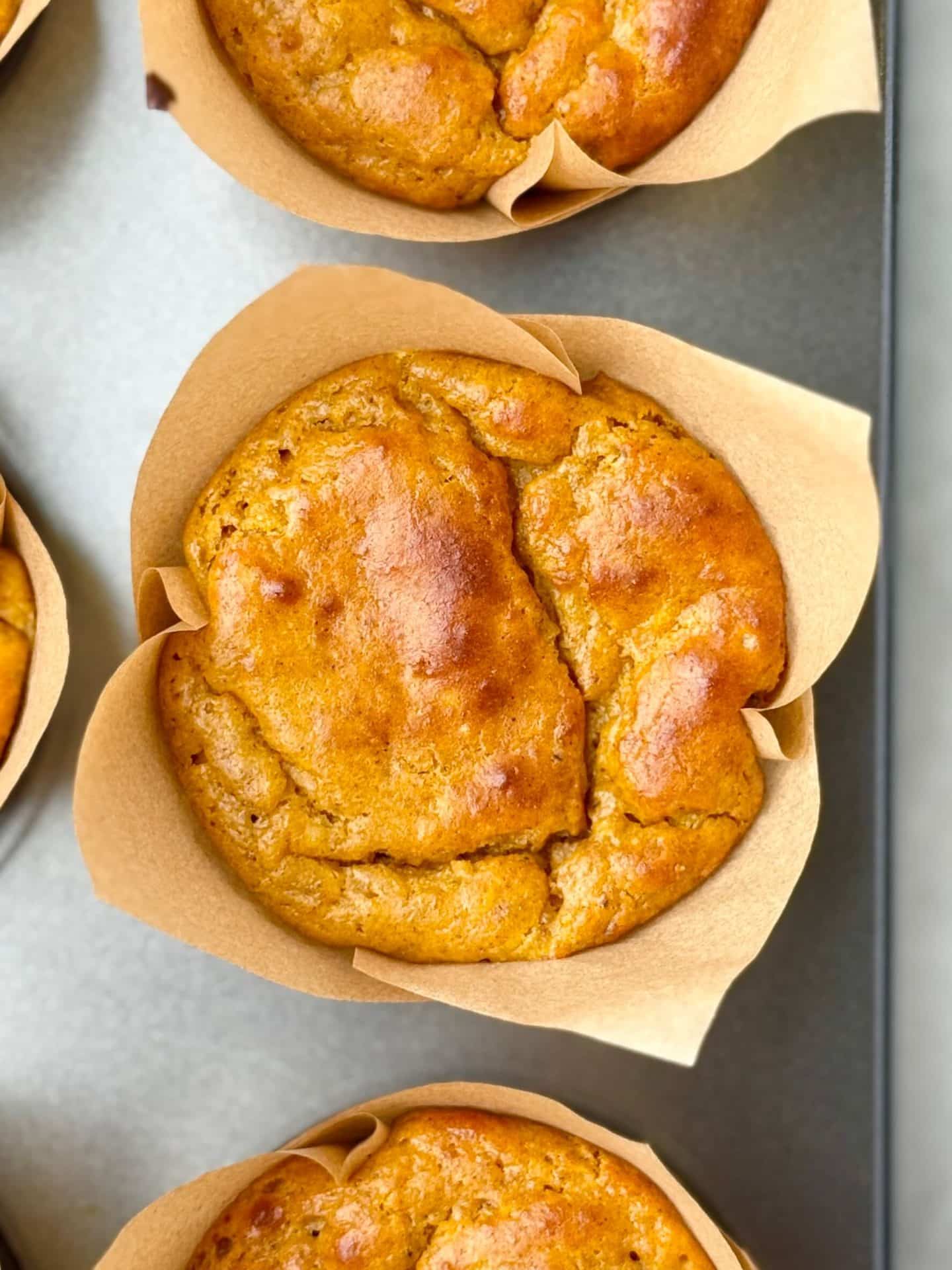 High Protein Pumpkin Muffins