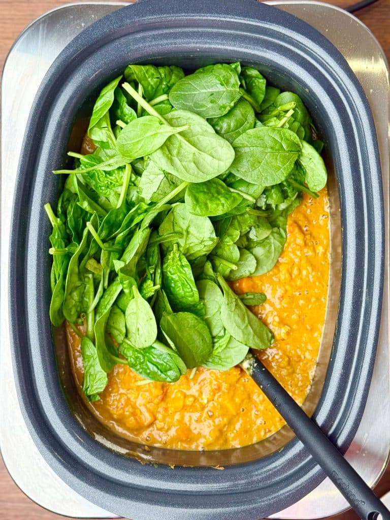 Fresh baby spinach added to crockpot butternut squash and red lentil curry before stirring.