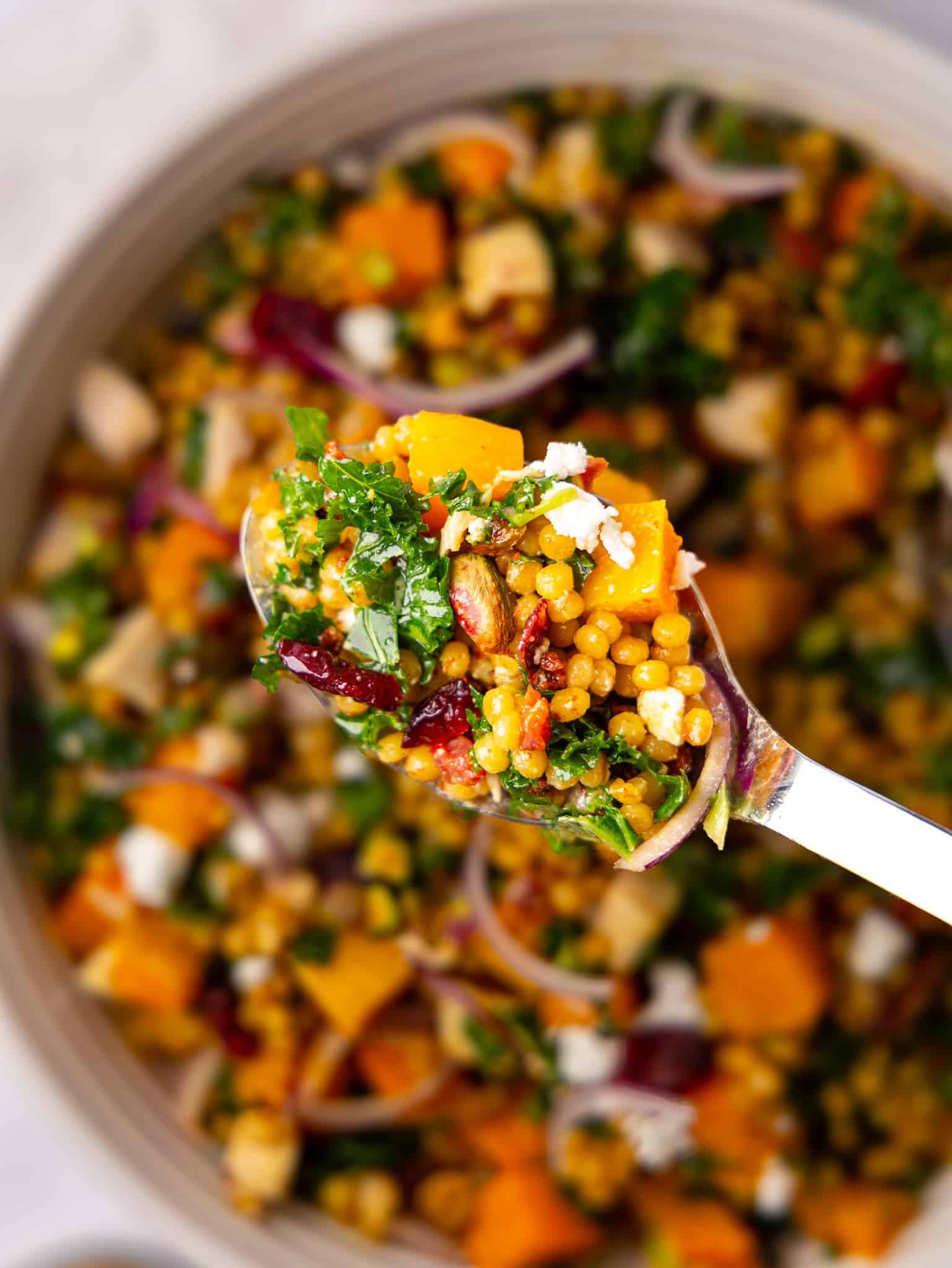 Spoonful of couscous salad with butternut squash and cranberries held over the bowl